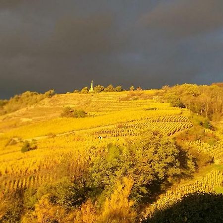 Отель Wine Passion Panoramic Chavanay Экстерьер фото