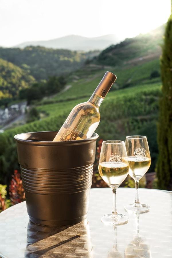 Отель Wine Passion Panoramic Chavanay Экстерьер фото