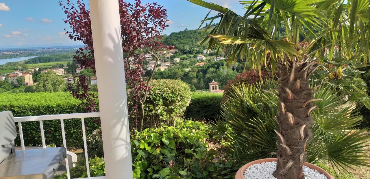Отель Wine Passion Panoramic Chavanay Экстерьер фото