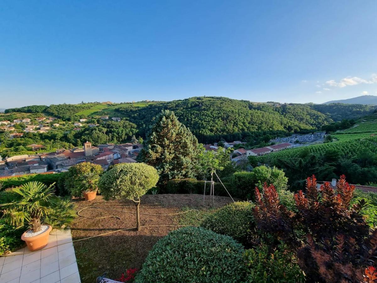 Отель Wine Passion Panoramic Chavanay Экстерьер фото