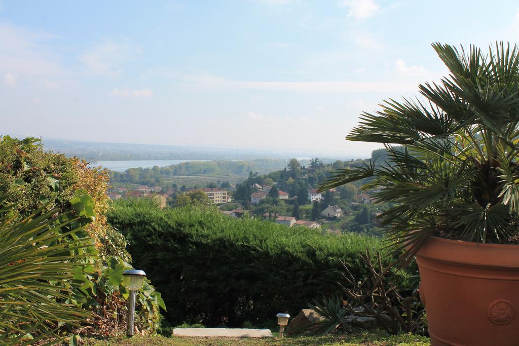 Отель Wine Passion Panoramic Chavanay Экстерьер фото